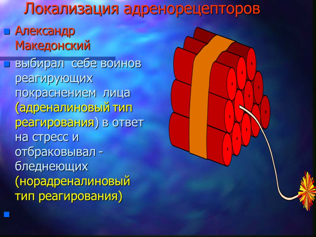 Локализация адренорецепторов Александр Македонский выбирал себе воинов реагирующих покраснением лица (адреналиновый тип реагирования) в